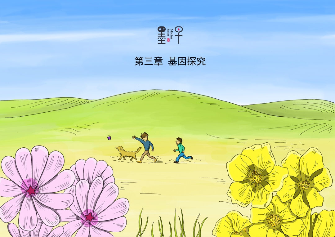 第三章 基因探究（三）