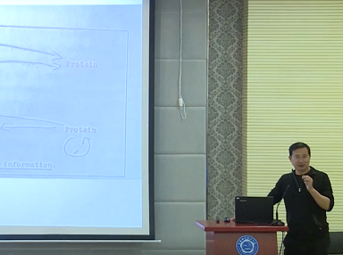 基因与你（三）你不知道的孟德尔
