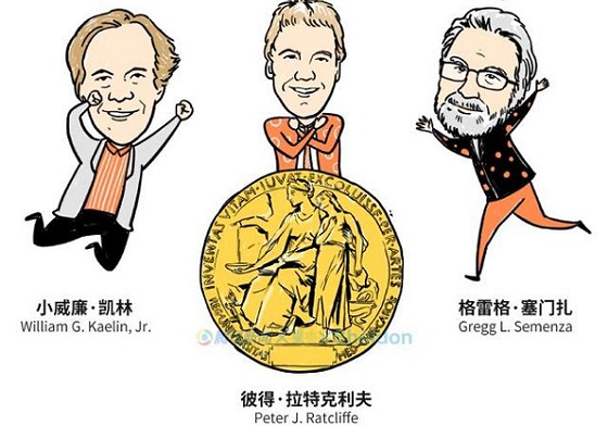 2019诺贝尔生理学奖：面对缺氧，懂得“垃圾分类”的细胞才是好细胞