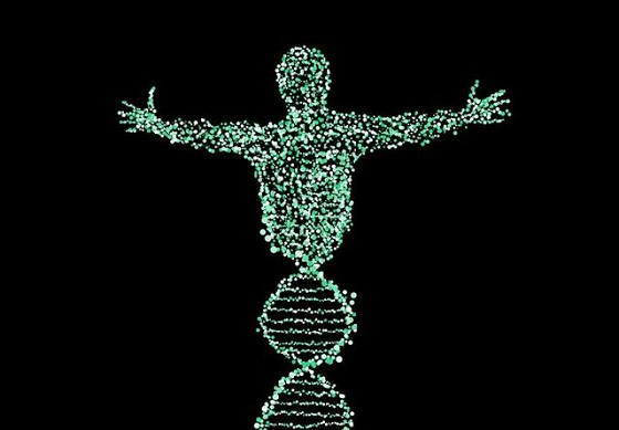 如果“量子传输”一个人，转移的是肉体还是灵魂？