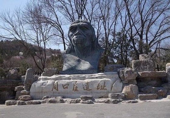 北京猿人发现90周年：它曾轰动世界，后遭战争厄运，如今下落成谜