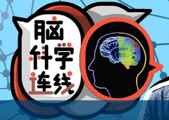 目前人类制造的AI离大脑还有多远？脑模拟研究解密