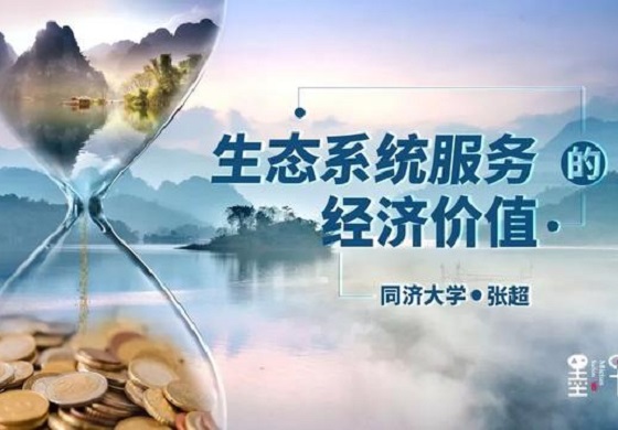 生态系统服务的经济价值 | 张超