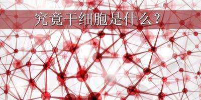 唤醒生命的干细胞