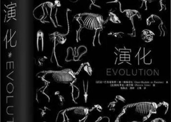 进化也会掷骰子吗|关于进化论的一些常见误区（二）