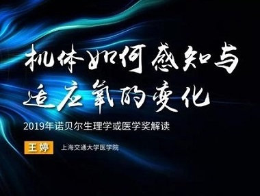 2019诺奖医学或生理学解读