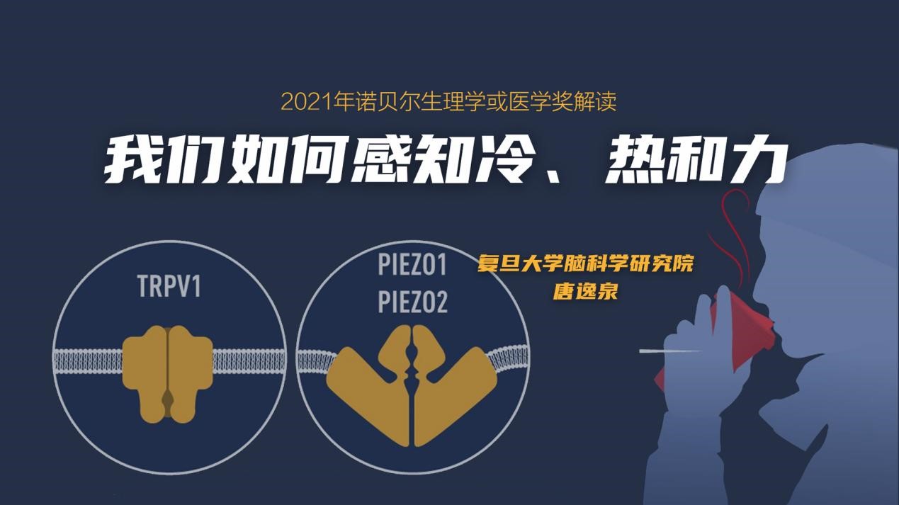 唐逸泉：我们如何感知冷、热和力 | 2021年·第8期