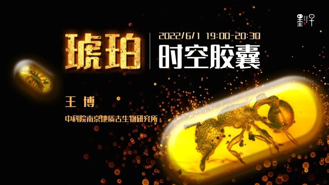 王博：琥珀：时空胶囊 |2022年·第6期