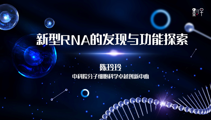 陈玲玲：基因组暗物质：新型RNA的发现与功能探索 |2022年·第10期